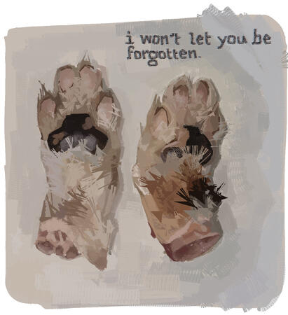 I Never Heard You Purr or Felt Your Breath, But I Love You All The Same. I Never Heard You Purr or Felt Your Breath, But I Love You All The Same.